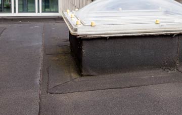disadvantages of Higher Whatcombe flat roofs
