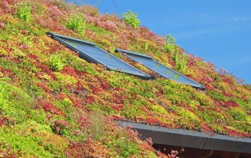 Higher Whatcombe living roof systems
