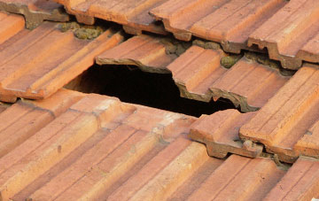 roof repair Higher Whatcombe, Dorset