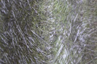 Higher Whatcombe fibreglass roof work